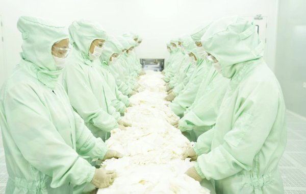 Glove workshop